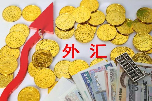 金融中介与外汇